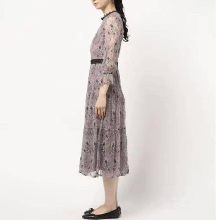 Amazon.co.jp: ウィルセレクション Mサイズ シャンティレース  