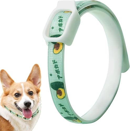 ダニ1、犬ノミ1?犬のダニ1猫のノミの1?ナチュラル犬1や小型・中型・大型犬用の調節が可能なノミ・ダニ予?(1