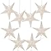 Paper Star Lantern Lampshade Hanging Christmas Xmas Day Decoration for LED Light Wedding Birthday Party Home Decor 8 Pcs 28cm Hollow Out Design (Lights not Included) (White with Silver)
