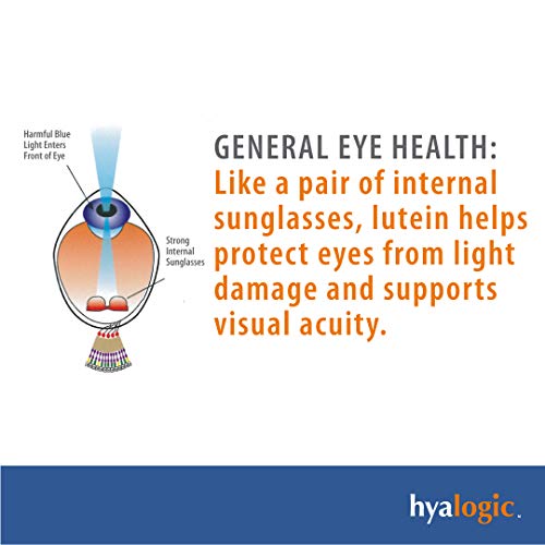 Hylavision Eye Health Supplements: Hyaluronic Acid, Lutein And Zeaxanthin Dietary Supplements For Vision Support (120 Capsules)— Vegan Formula By Hyalogic #TOP6