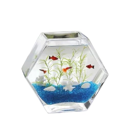 _J ^N  ANAE Zp`  ^ KX   {E VN ۃeE Mы ϗtA ͔| CeA e e[u ԕr n ƒp KXifXNgbvԃ{g rO[