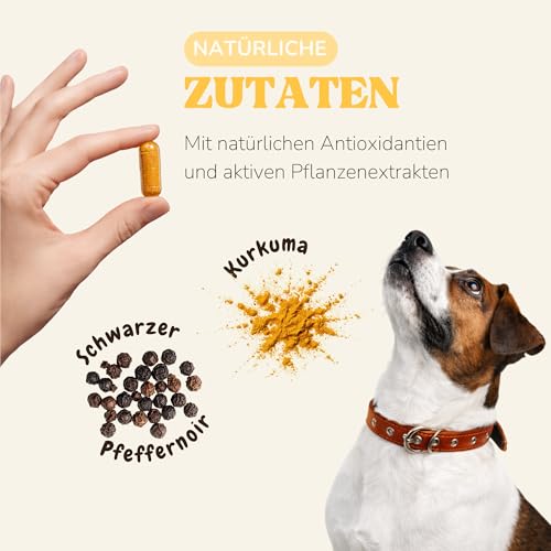 lamina care - Gelenk-Supplement für Hunde und Katzen – Kapseln mit Kurkuma & Piperin – Unterstützt Beweglichkeit, Gelenkfunktion & antioxidativen Schutz – 60 Kapseln