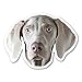 Weimaraner Magnet