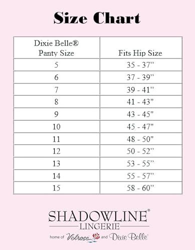 Women's Underwear Nylon Brief High Waist Scallop Trim 3-Pack 719 - Image 5