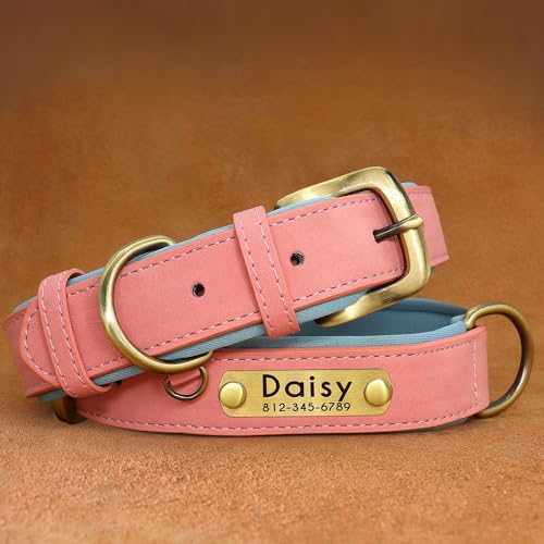 Hundehalsband aus Leder, mit tiefer Gravur, für kleine, mittelgroße und große Hunde und Katzen, personalisierbar