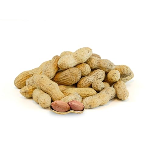NUTS U.S. - Peanuts In Shell | USA Grown, Non-GMO Raw for Birds, Squirrels & Wildlife | Human Consumption After Roasting or Boiling | Whole In Shell Unsalted Peanuts - 5 LBS