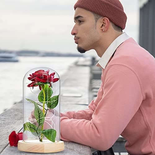 Beauty and the Beast Rose, Forever Red Rose with Light Enchanted Silk Rose in Glass Dome, Never Fade Rose Gift for Mother's Day, Anniversary, Birthday, Valentine's Day, Room Decoration