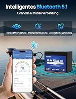 DCHOUSE 12V 100Ah kältebeständige Lithium Batterie mit Ladezustandsanzeige – Ansicht 5