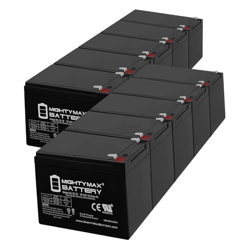 Batería 12V 12AH SLA para Scooter TZORA Classic y Elite - Pack 10 miniatura 1