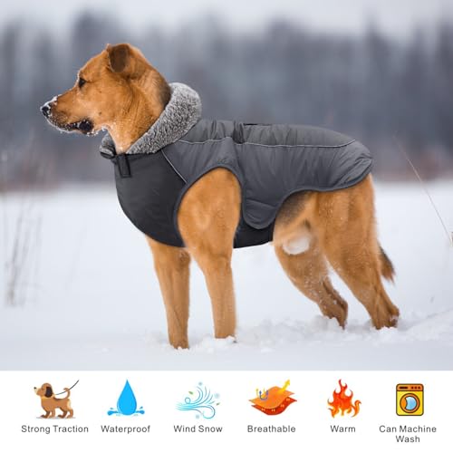Idepet Hundemantel warme Jacke, wasserdichter Haustiermantel Schneeanzug, reflektierende Winddichte Hundekleidung für kleine mittelgroße Hunde rot schwarz