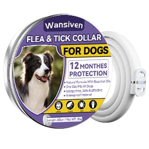 Wansiven Collar Antipulgas para Perros, Collar Antiparasitario e Impermeable de 65cm para Perros, 12 Meses Eficaz para Repeler Pulgas y Garrapatas Durante, Apto para Perros Pequeños