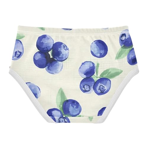 Print Girls Underwear Toddler 2t Cotton Panties for Girl Watercolor Blueberries Beige Briefs Underpants2