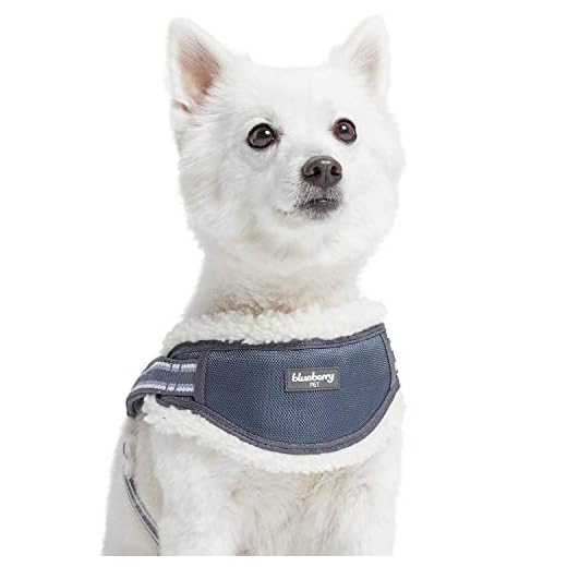 Blueberry Pet Soft & Comfy Multi-Colored Stripe Fleece Padded Chest Dog Harness, Chest Girth 16.5" - 21", Grey, Small, Adjustable No Pull Training Harness for Dogs