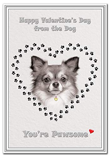 from The Dog Valentine Cards - Corgi Westie Labrador Pug Dogs etc Best Designs (Chihuahua Valentine Card)