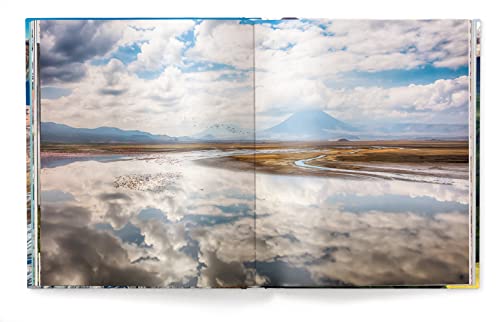 The World: Michael Poliza