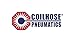 Coilhose Pneumatics 26F2-X 26 Series 1/4" Filter, 5? Element