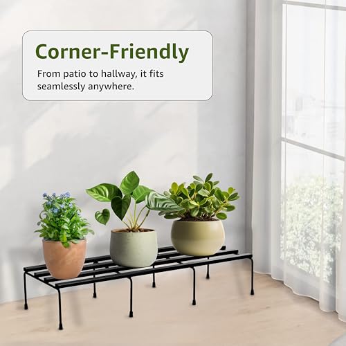 Image of Amazon Brand - Solimo Folding Metal Plant Stand (Pack of 2, Black) - Heavy-Duty, 50 kg /Shelf Load Capacity, 21 x 60 x 12 cm, Indoor & Outdoor Use
