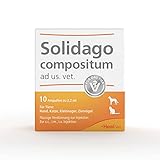 Solidago compositum ad us. Vet - u.a. Bestandteil der SUC-Therapie, 10 Ampullen