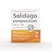 Hund und günstig Kaufen-Solidago compositum ad us. Vet. 10 Ampullen. Bestandteil der SUC-Kombination | Natürliches Tierarzneimittel für Katzen, Hunde, Kleinnager und Ziervögel | Made in Germany