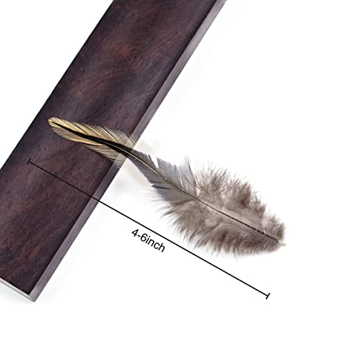 100 Pcs 4-6 Inches Natural Silver Edge Rooster Tail Feathers For Diy Crafts Decoration #TOP6