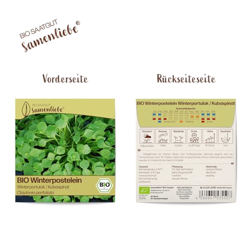 Bio-Saatgut Winterpostelein Samen von Samenliebe, alte Sorte
