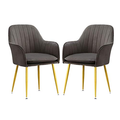 SJIALEN Soft Velvet Dining Chair,Sturdy Metal Legs for Office Lounge Dining Kitchen Bedroom Study Lounge Chairs Kitchen Chair (Color : Gray-B, Size : 2pcs)