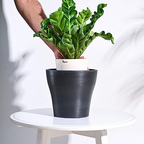 Image of UGAOO Rezer Tivoli Pots Planter for Home & Balcony Garden (Large, Black)