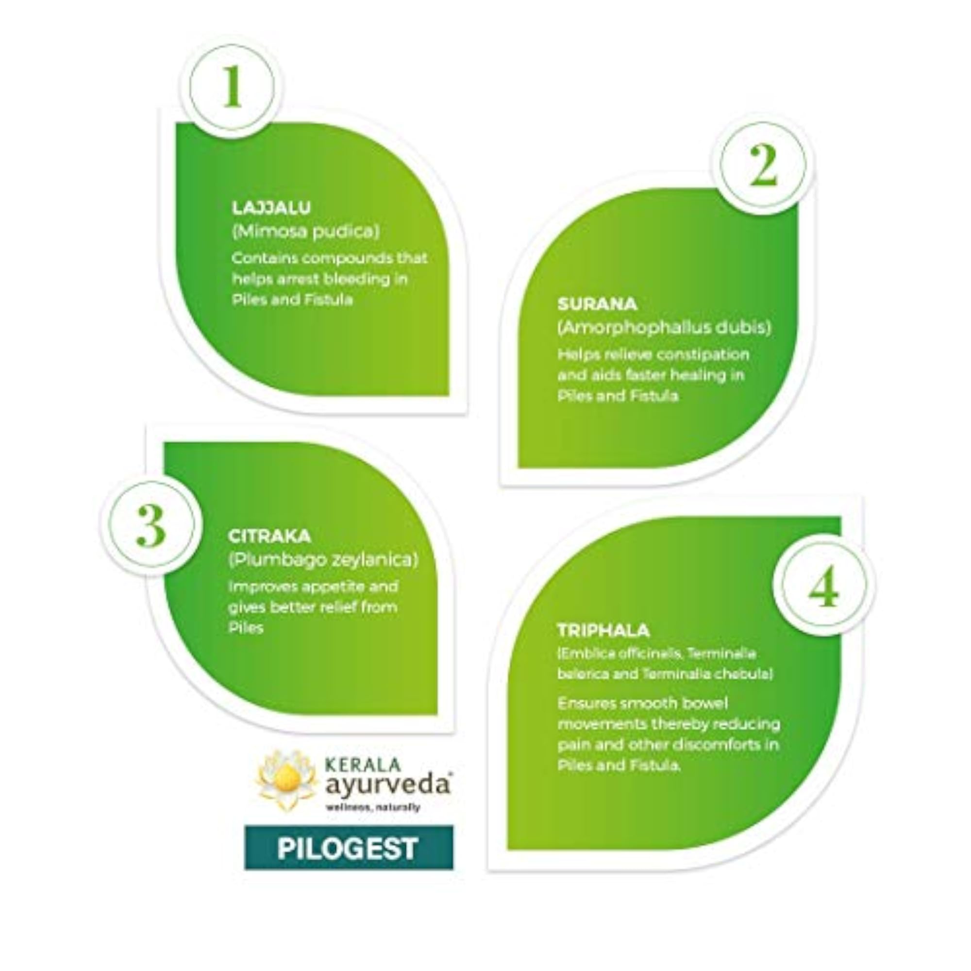 KERALA ayurveda Pilogest Capsules Pack of 100