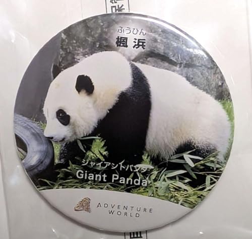 Ƃp_N[Q[ l ʃob` ʃobW AW l