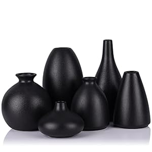 Lot de 6 Petits vases en céramique Noir Mat pour décoration, Petits vases Noirs pour Fleurs, Petits vases bohème pour centres de Table, Mini vases en Herbe de la Pampa pour décoration,Moderne