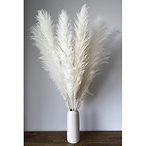 Witte Pampas Gras Grote Pluizige Natuurlijke Witte Pampas Gras Decor 6 Stengels 40 “Tall Gedroogde Pampasgras voor Bloemen Vazen Bruiloft Gift Vakantie Party