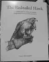 The Red-Tailed Hawk: A Complete Guide to Training and