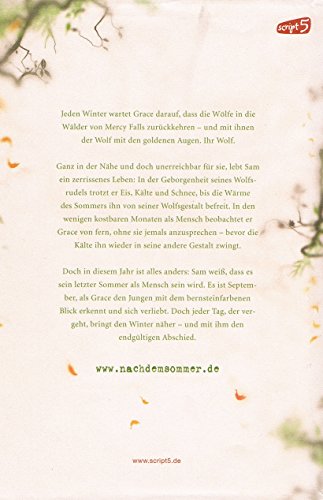Nach dem Sommer [German] 3839001080 Book Cover