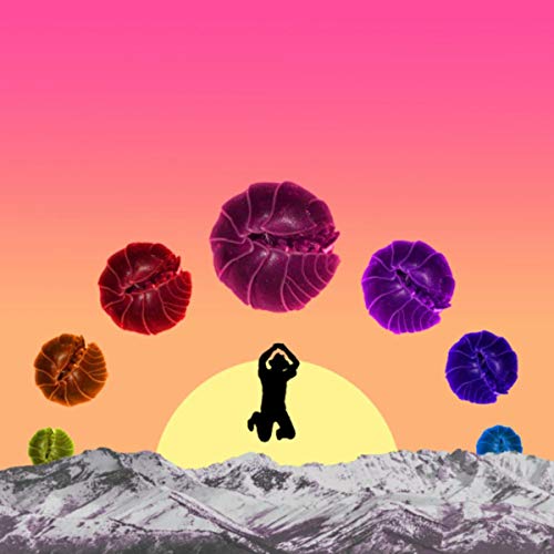 La Fiesta de las Cochinillas (El Chasky Pum Remix)