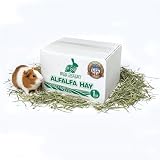 High Desert Alfalfa Hay for Young Rabbits and Guinea Pigs, 1 lb Box