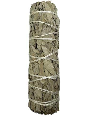 Atado Salvia Blanca de California XL Ecológico y Sostenible 100% Original | Purificación, Limpieza Energética y Armonía | 15cm - HOSTENATURA