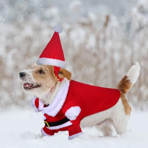 Disfraz de Santa Claus para Perro Rojo XL miniatura 7