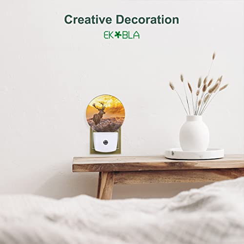 Image of EKOBLA Reindeer Night Light, Elk Deer Wildlife Nature Scene Night Lights Plug Into Wall with Auto On /Off for Home Decor and Women Gifts