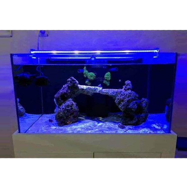 OrionLed Akvaryum Led Aydınlatma Mavi 30Cm
