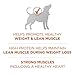 Purina ONE Plus Healthy Weight High-Protein Dog Food Dry Formula - 31.1 lb. Bag