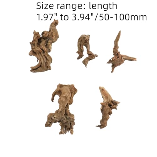 Bois flotté naturel de 5-10 cm pour aquarium et micro paysage - Lot de 5 pièces