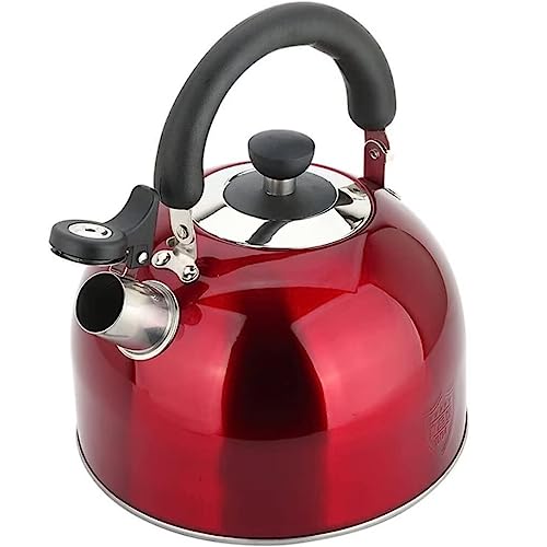 Bouilloire 304 en acier inoxydable pour poêle à gaz lors de vos petits-déjeuners en famille