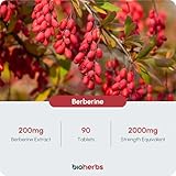 Berberine HCL Supplement High Strength - 2000mg 99% HCL by BioHerbs | 90 One-Per-Day Capsules (3-Month Supply) - Image 2