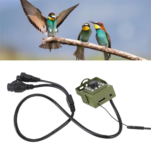 Caméra de Surveillance de la Faune, Caméra de sécurité Intérieure et Extérieure, Caméra de Vision Nocturne pour Nichoir, Caméra Grand Angle WiFi 2,4 GHz avec 10 LED, pour