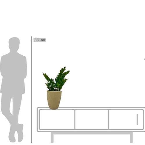 VASO POLIETILENO COLUNA BERLIAN GOLD 3D DECORATIVO P/PLANTAS/JARDINS/ESCRITÓRIOS (BEGE)