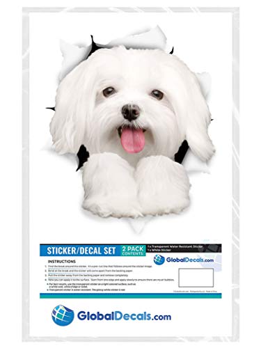 Winston & Bear 3D Dog Stickers - 2 Pack - Cute Maltese Dog Decals For Wall, Fridge, Toilet And More - Retail Packaged Maltese Stickers #TOP5