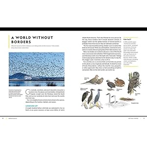 National geographic birding basics tips tools and techniques for great bird watching paperbacknovember 15 2022  urban country home decor