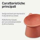 Amazon Basics B0DPWGNQ5F lato 2