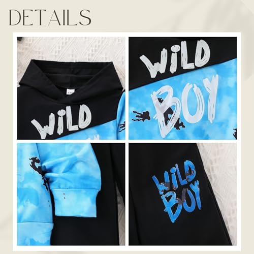 Image of 2-6T Toddler Baby Boy Clothes Long Sleeve Hooded Pullover Colorblock Sweatshirt + Pants 2pcs Fall Winter Outfit Set
