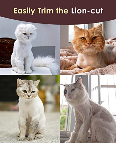 oneisall Leise Schermaschine Katze Hunde, Profi Haarschneidemaschine für langhaarkatzen mit dichtem Fell, Hundeschermaschine katzenrasierer mit leistungstarken Motor (Rosa)